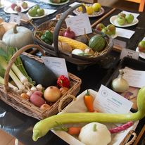 hort 1 veg collection